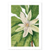 Umbrella Tree Art Print - MJ Design Studio