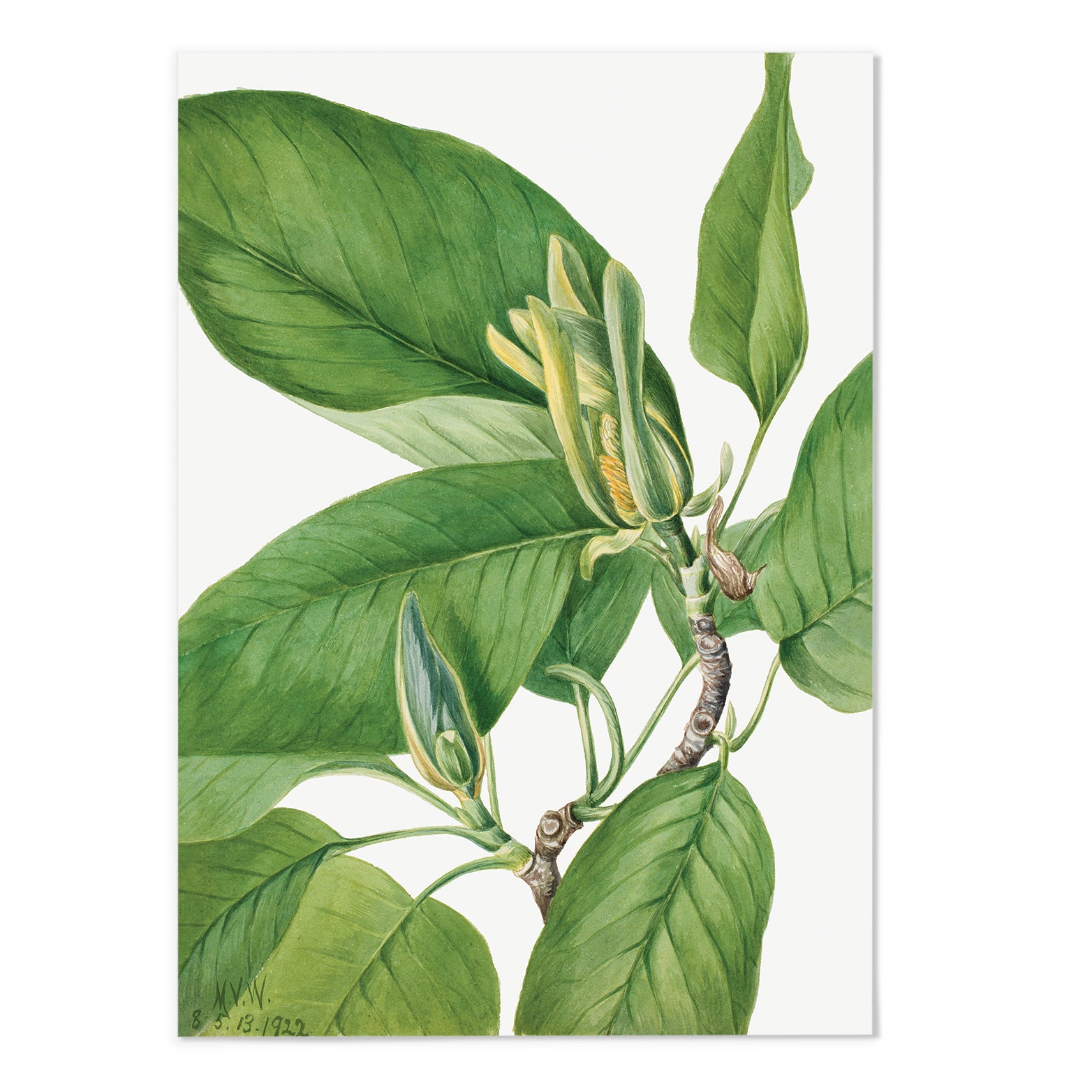 Botanical Gallery Wall Art Set