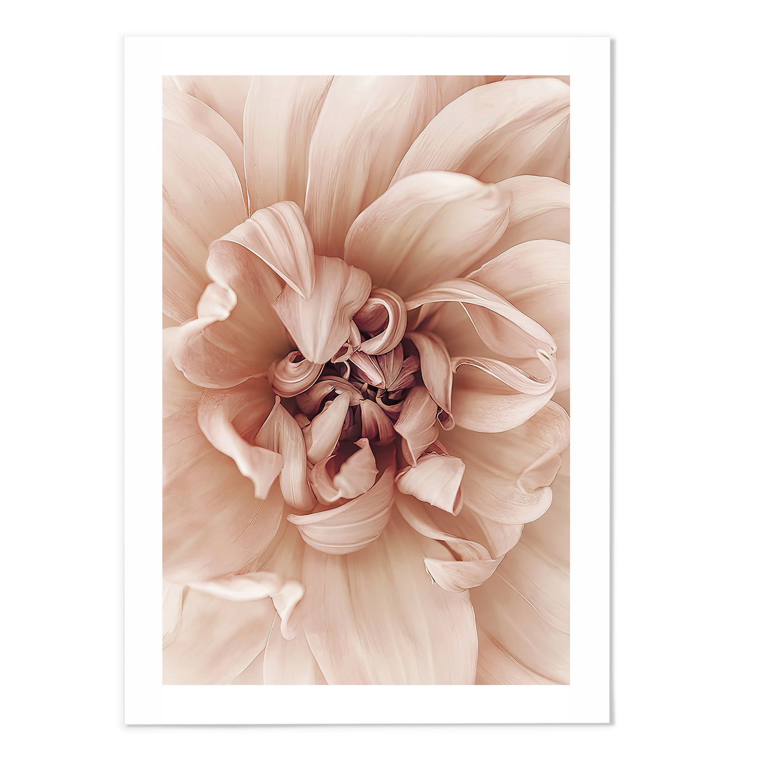 Floral II Photography Print - MJ Design Studio