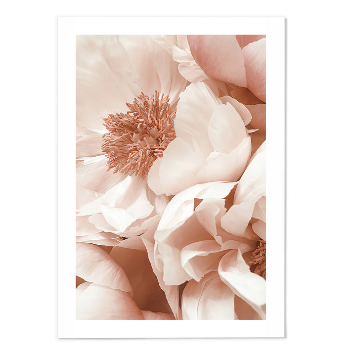 Floral I Photography Print - MJ Design Studio