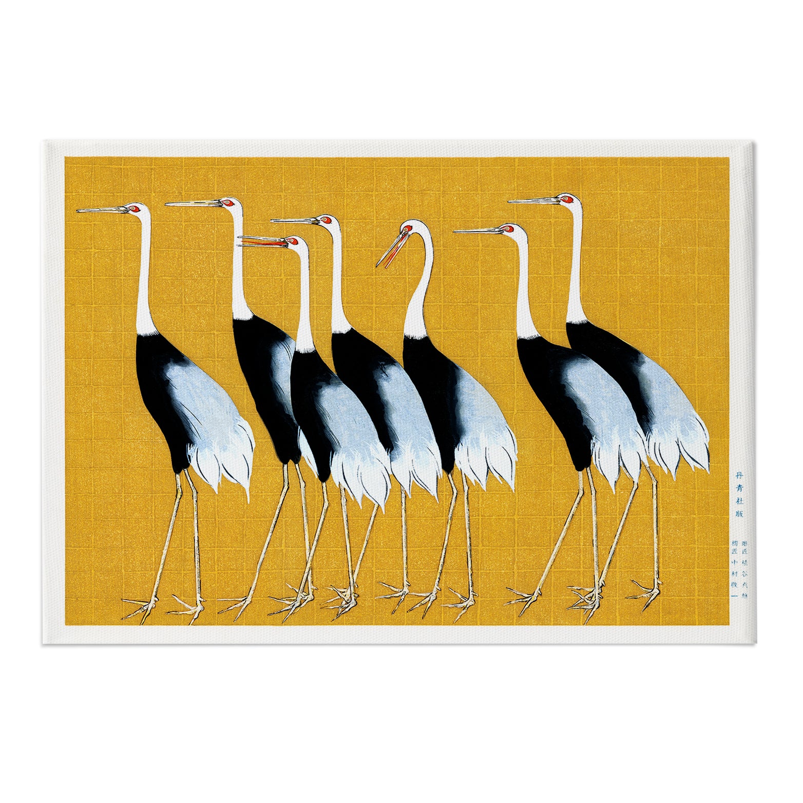 The Red Crown Crane Canvas Print