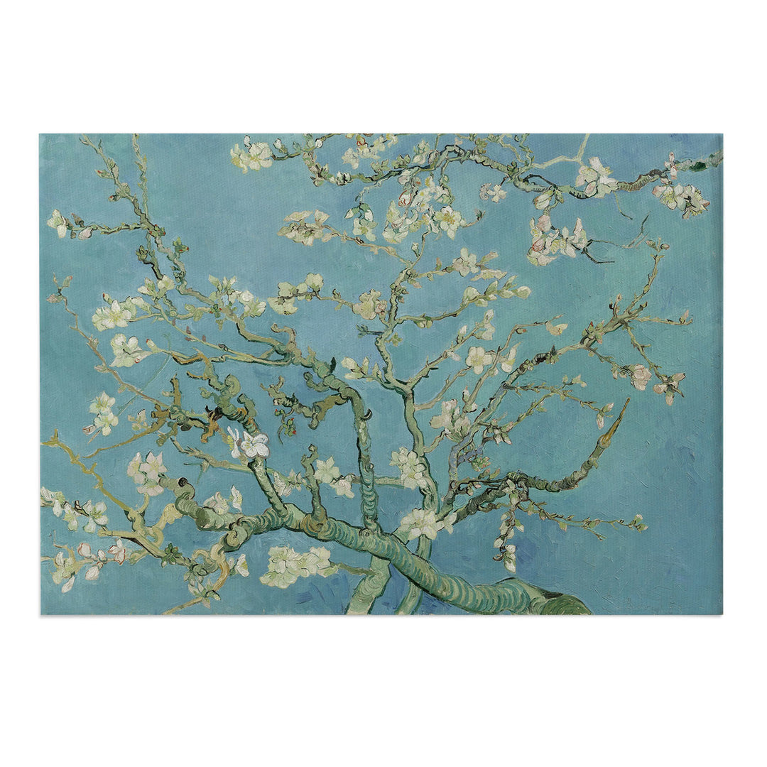 Almond Blossoms Canvas Print