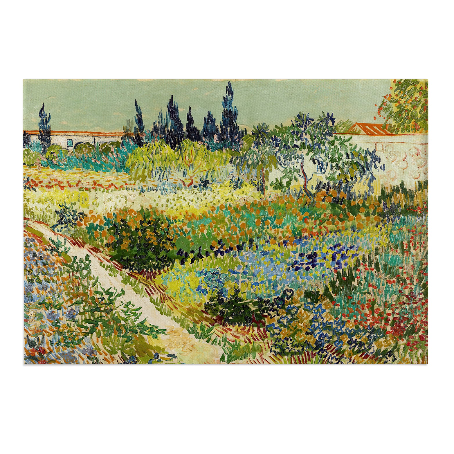 The Garden at Arles Canvas Print