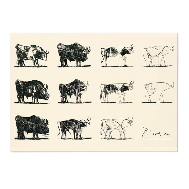 Cow Studies Picasso Art Print