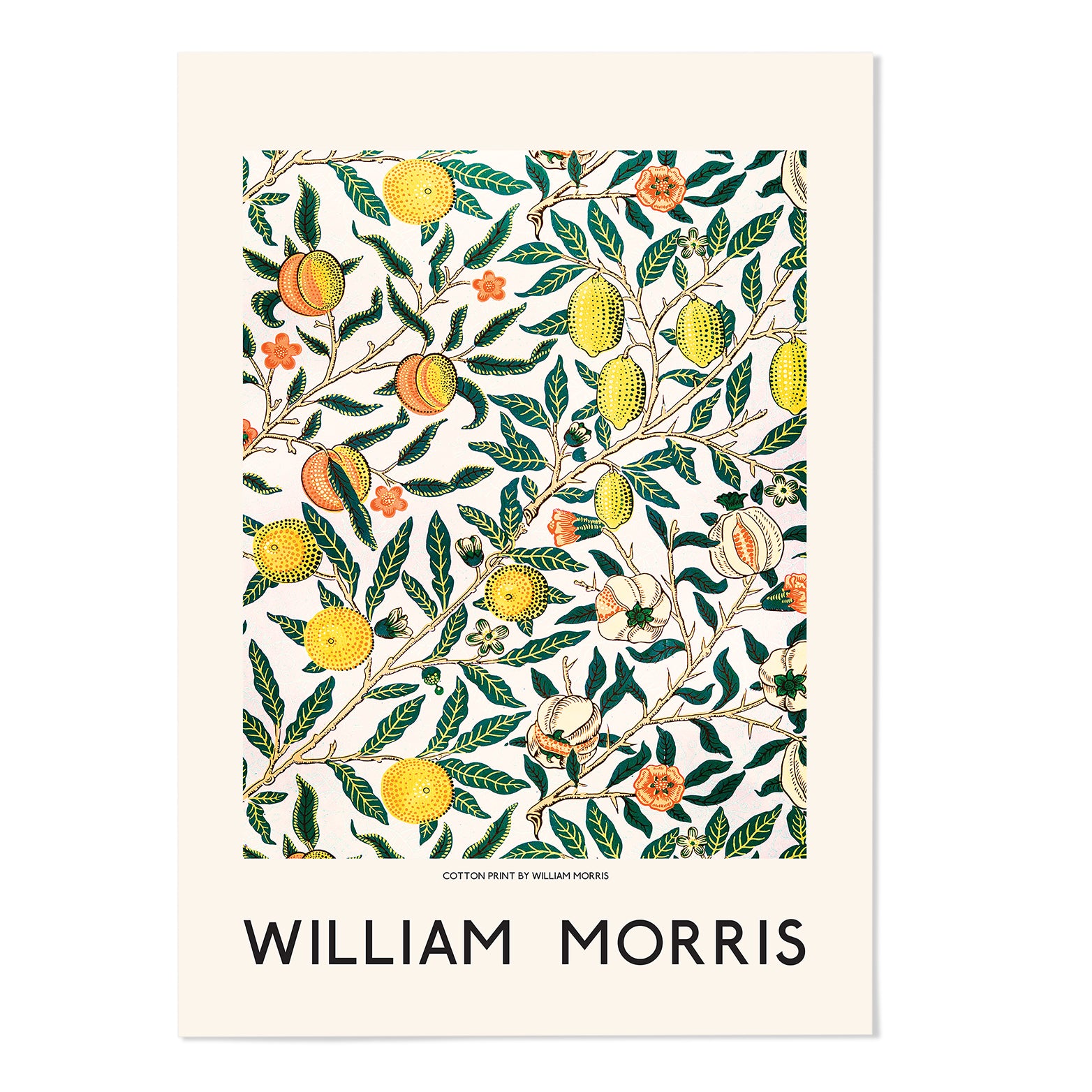 William Morris Vintage Fruit Art Print - MJ Design Studio