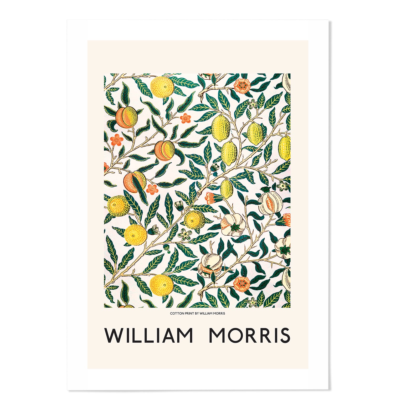William Morris Vintage Fruit Art Print - MJ Design Studio