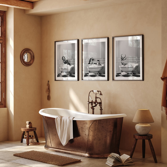 African Animals Bathing Gallery Wall