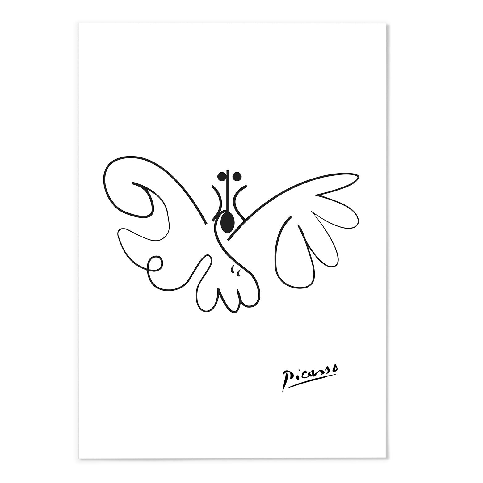 Picasso Butterfly Line Sketch Art Print - MJ Design Studio