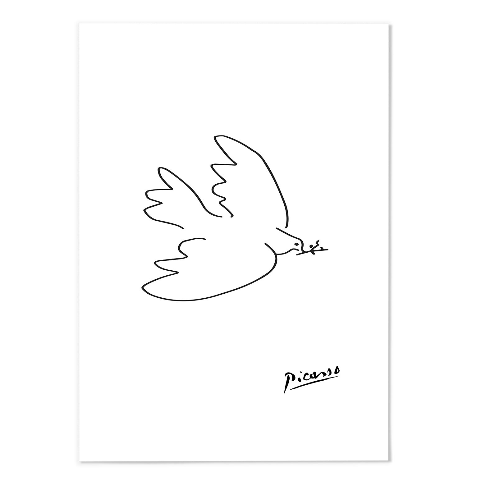 Picasso Line Sketch Peace Dove Portrait Art Print - MJ Design Studio