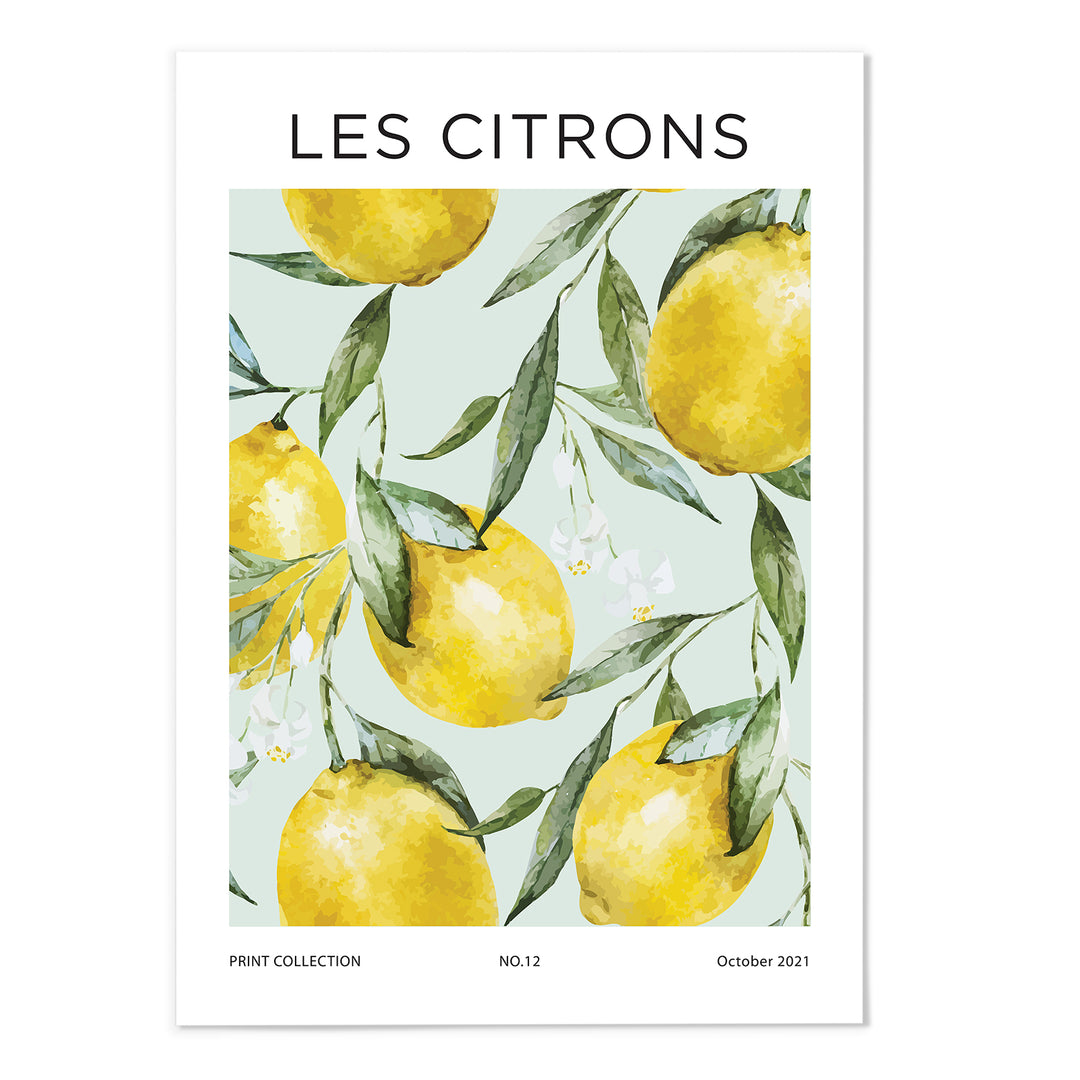 Les Citrons Art Print