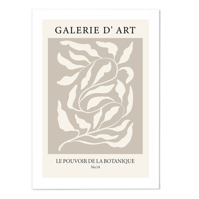 Botanical Illustration IV