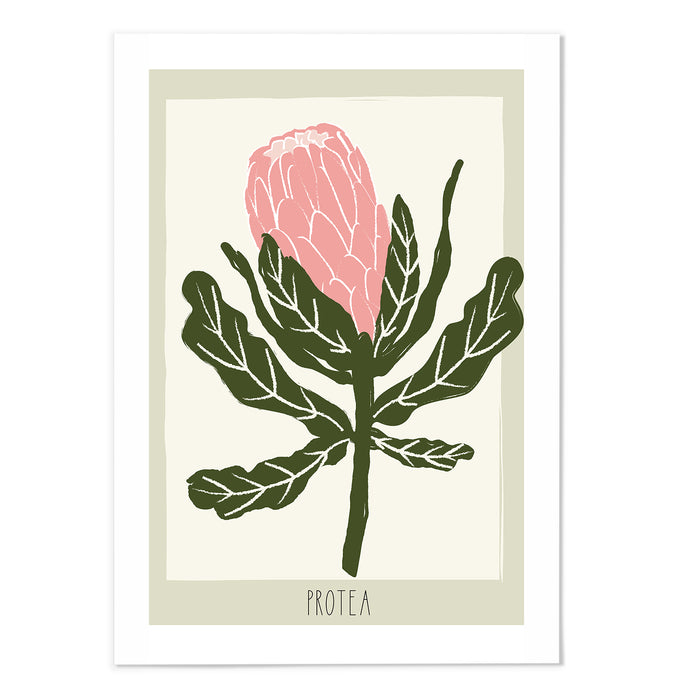 Protea