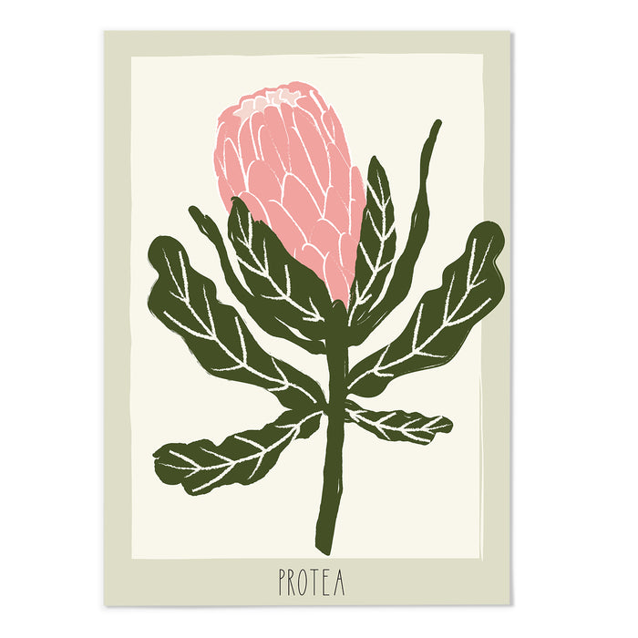 Protea