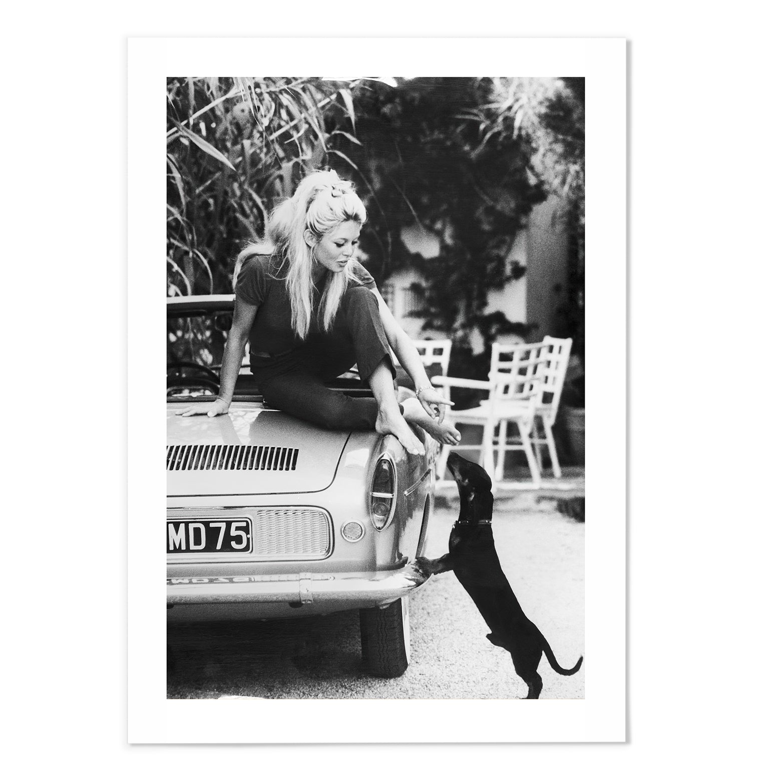Brigitte Bardot And Dog Vintage Photography Print