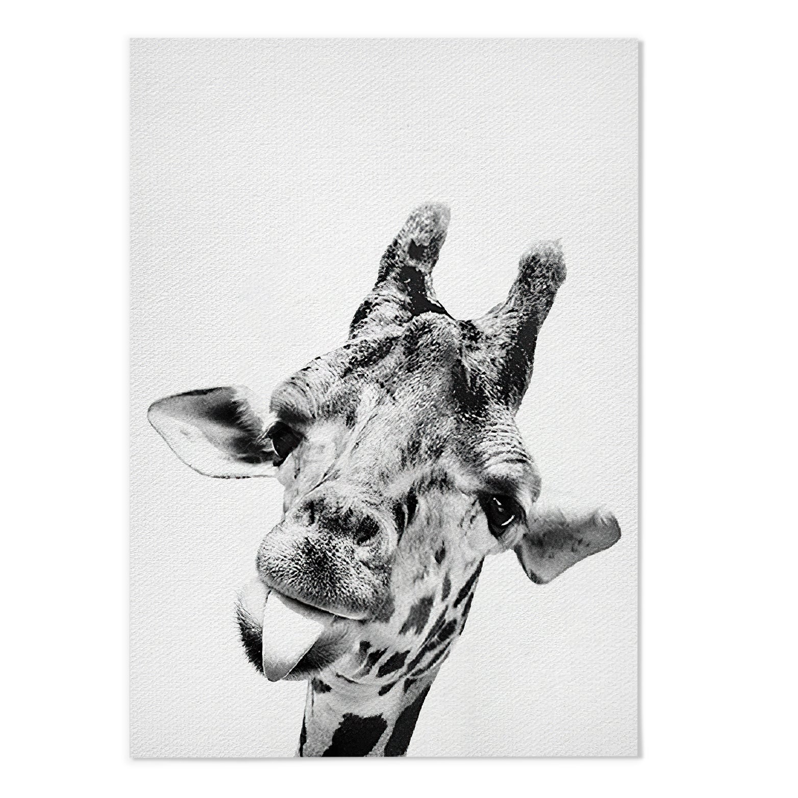 Cute Giraffe Photography Print