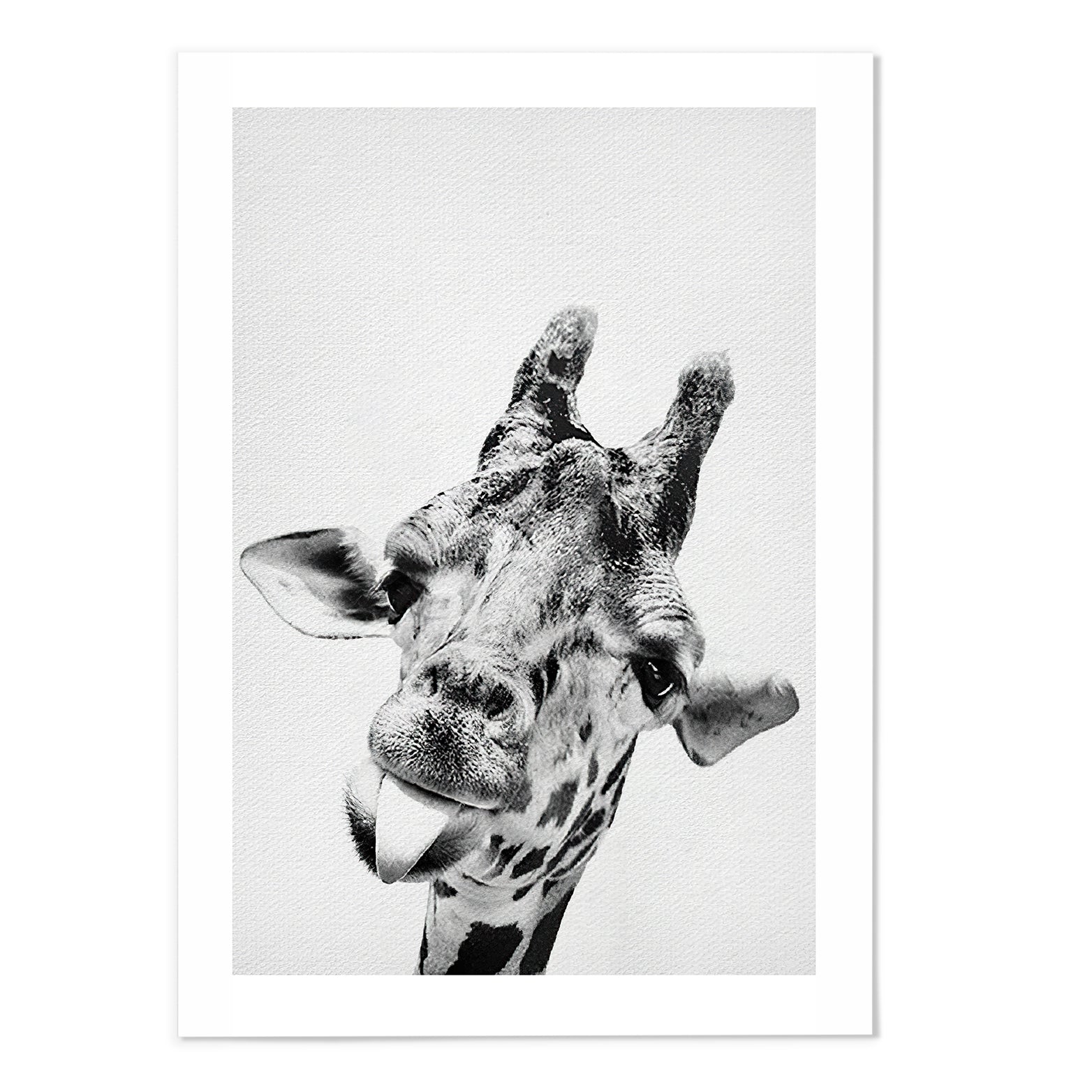 Cute Giraffe Photography Print