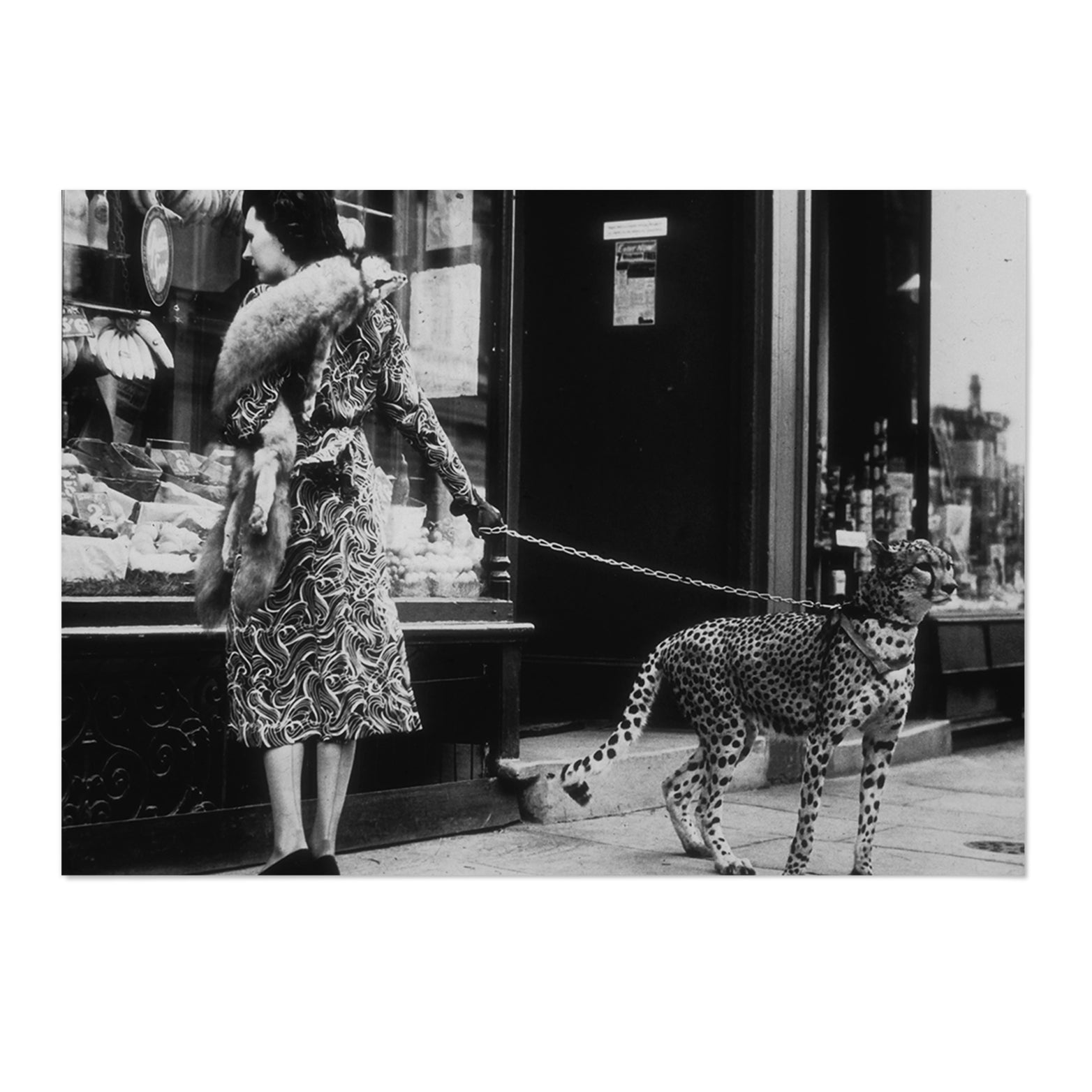 Vintage Leopard Photography Print