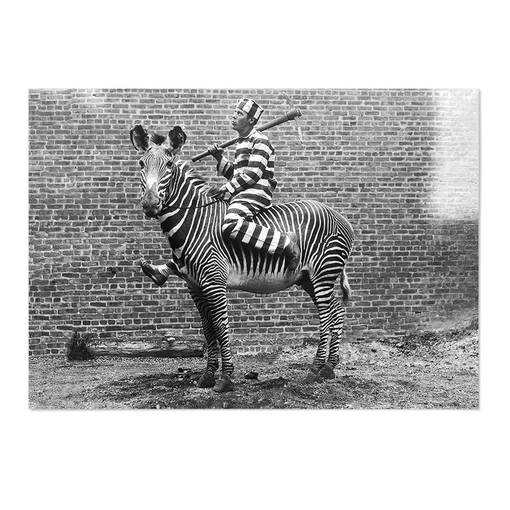 Vintage Funny Zebra Photography Print