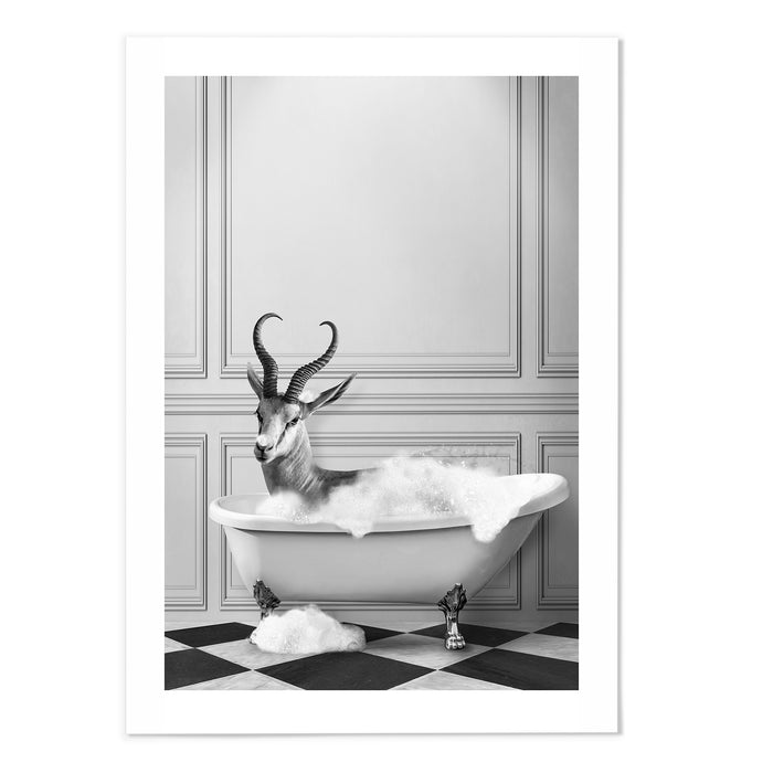 Springbok Bathing
