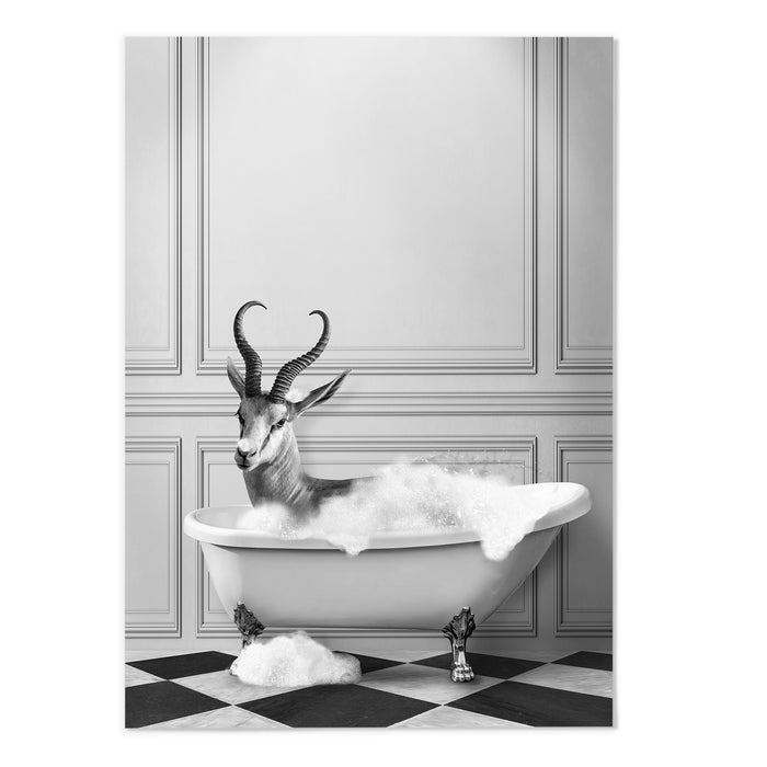 Springbok Bathing